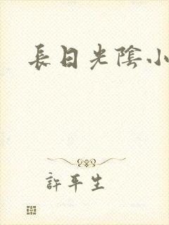 长日光阴小说