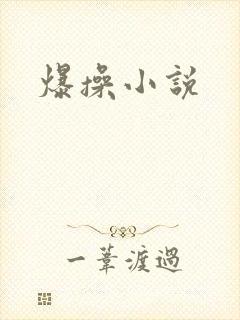 爆操小说