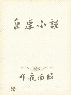 自虐小说封面