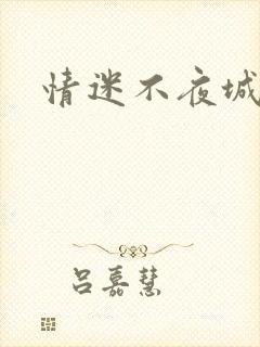 情迷不夜城