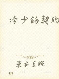 冷少的契约囚奴