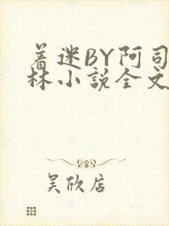 着迷BY阿司匹林小说全文免费阅读封面