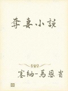 夺妻小说