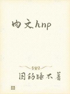 肉文hnp