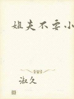 姐夫不要小说