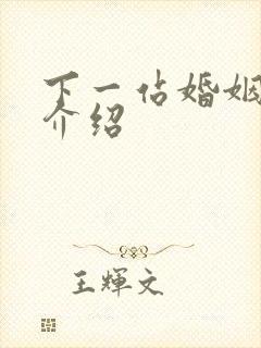 下一站婚姻剧情介绍