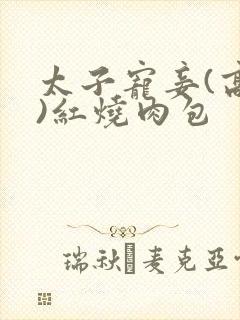太子宠妾(高肉)红烧肉包