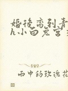 婚后脔到青梅哭h小白兔宫交h