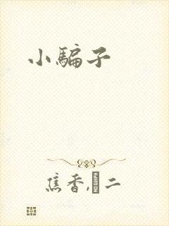 小骗子封面
