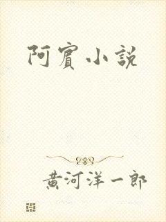 阿宾小说