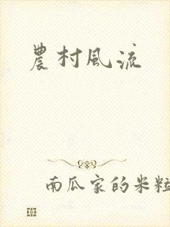农村风流