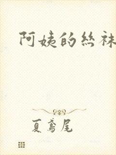 阿姨的丝袜小说