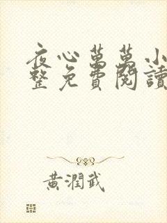 夜心万万小说完整免费阅读全文