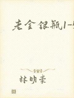 老金银瓶1-5封面