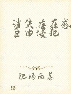 消失存在感消失自由侵犯