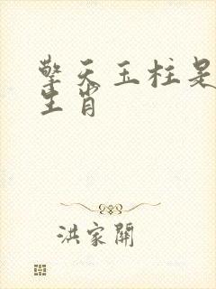 擎天玉柱是什么生肖