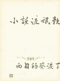 小说流氓教师