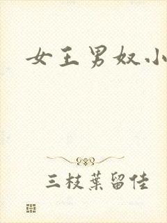 女王男奴小说