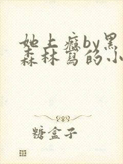 她上瘾by黑暗森林写的小说免费阅读无弹窗