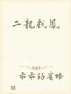 二龙戏凤