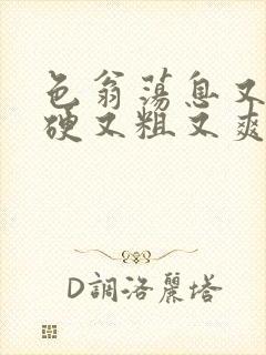 色翁荡息又大又硬又粗又爽电影
