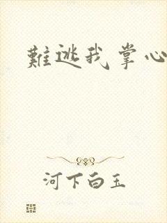 难逃我掌心封面