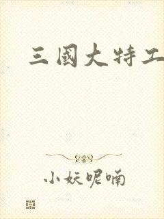 三国大特工