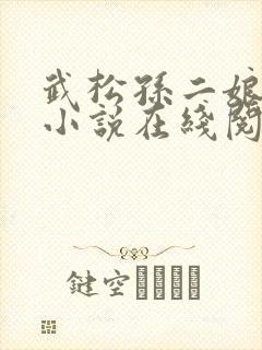武松孙二娘云雨小说在线阅读封面