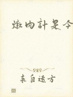 炖肉计是今海棠封面