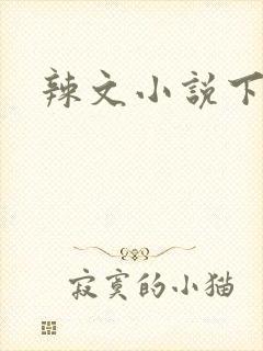 辣文小说下载