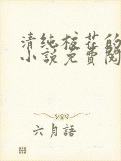 清纯校花的秘密小说免费阅读
