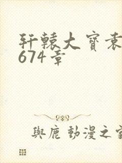 轩辕大宝袁雪妃674章