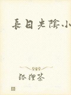 长日光阴小说