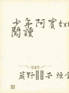 少年阿宾txt阅读