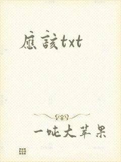 应该txt封面