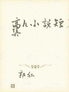 高h小说短篇合集封面