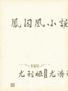 凤囚凰小说