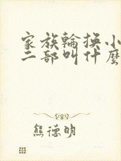 家族轮换小说第二部叫什么名字