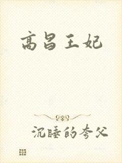 高昌王妃封面
