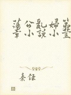 荡公乱妇第51章小说小莹封面