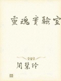 灵魂实验室封面