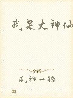 我是大神仙小说封面