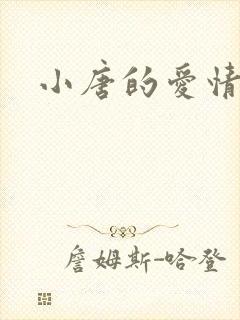 小唐的爱情史