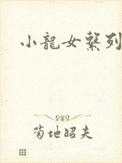 小龙女系列小说封面