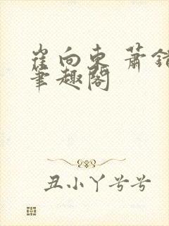 崔向东 萧错 笔趣阁