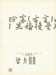 盼寡(古言1v1 先婚后爱)