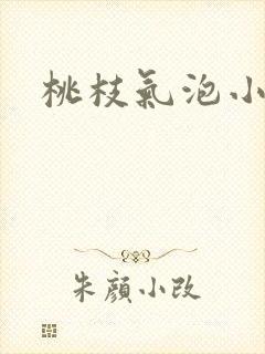 桃枝气泡小说封面