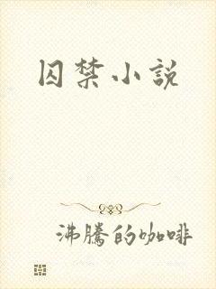 囚禁小说封面