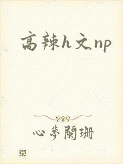 高辣h文np