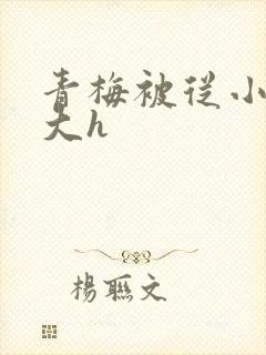 青梅被从小摸到大h封面